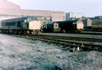 Class 46, 03 (079) and 31 examples at Gateshead in the 1980s, all looking unusually clean.<br><br>[Colin Alexander //]