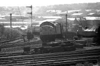 With Ferryhill MPD to the right, a Class 40 brings a train off the Dee Viaduct on the approach to Aberdeen station in May 1975. The three ex Aberdeen Gas Works locos can be seen to the right of the Class 40. [See image 18043]<br><br>[John McIntyre 25/05/1975]