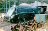 A4 60007 <I>Sir Nigel Gresley</I> receiving attention from a squad of cleaners at Grosmont shed in 1996.<br><br>[Colin Alexander //1996]