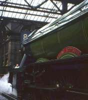 <h4><a href='/locations/E/Edinburgh_Waverley'>Edinburgh Waverley</a></h4><p><small><a href='/companies/N/North_British_Railway'>North British Railway</a></small></p><p><I>'Flying Scotsman'</I> stands at Waverley's Platform 8 on 9th May 1964, having arrived with the <I>Pegler's Pullman</I> special from Doncaster see image <a href='/img/25/500/index.html'>25500</a>. 9/132</p><p>09/05/1964<br><small><a href='/contributors/Frank_Spaven_Collection_Courtesy_David_Spaven'>Frank Spaven Collection (Courtesy David Spaven)</a></small></p>