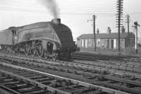 60012 <I>Commonwealth of Australia</I> photographed in the yard at Heaton in mid 1963. [See image 38028]<br><br>[K A Gray //1963]