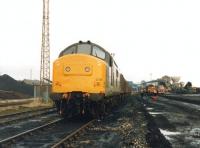 37239 in the sidings at Markham Main Colliery, Armthorpe, on the eastern edge of Doncaster, in the late 1980s. The wagons are FPAs with Russell 30' containers conveying house coal bound for Scotland on one of the two daily Speedlink Coal trunk trains operating from Yorkshire at that time - for final tripping to container railheads at Gartcosh, Aberdeen and Inverness.<br><br>[David Spaven //]
