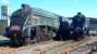 Renewing an old acquaintance. Gresley A4 Pacifics 60010 <I>Dominion of Canada</I> and 60008 <I>Dwight D Eisenhower</I> together in the sidings at NRM Shildon on 13 October 2012. <br><br>[Colin Alexander 13/10/2012]