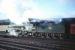 60019 <I>Bittern</I> about to leave Perth in bright sunshine in 1965 with a train from Aberdeen bound for Buchanan Street.<br><br>[Robin Barbour Collection (Courtesy Bruce McCartney) //1965]