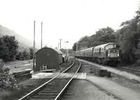 The 18.35 Glasgow Queen Street - Oban, with an NBL Type 2 in charge, approaching Arrochar and Tarbet in July 1967. Here it will cross the up Fort William - Kings Cross sleeper [see image 41183].<br><br>[Colin Miller /07/1967]