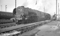 Locomotives on Polmadie shed in April 1961. Centre stage is Stanier Pacific 46241 <I>City of Edinburgh</I>.<br><br>[K A Gray 03/04/1961]