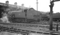 Scene in the shed yard at Exmouth Junction in August 1960. Maunselll 'Z' class 0-8-0T no 30954 is nearest the camera, with S15 4-6-0 no 30843 in the background.<br><br>[K A Gray 10/08/1960]