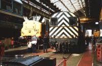 A busy scene during a Doncaster Works 'Open Day' on 12 July 1992. 37887 is under repair in company with 08879 and one carriage from Class 142 DMU 142055. A class 31, and what appears to be an unidentified Network South East liveried class 50, can be seen beyond the shunter. <br><br>[David Pesterfield 12/07/1992]
