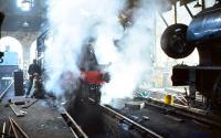Steam on shed, Strathspey Railway, Aviemore, 9 June 1979.<br><br>[Peter Todd 09/06/1979]