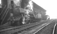 A3 Pacific no 60110 <I>Robert the Devil</I> alongside the coaling stage at Heaton shed in the 1960s.<br><br>[K A Gray //]