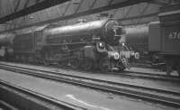 B1 4-6-0 no 61216 stabled inside the shed at 52B Heaton in the early 1960s.<br><br>[K A Gray //]