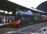 SLPF special at Newcastle in June 1965 behind St Margarets A3 no 60052 <I>Prince Palatine</I>. The train is preparing to head for Carlisle then on to Edinburgh via the Waverley route. Unfortunately the Pacific ran a hot axlebox bearing and was removed at Carlisle, where 60027 was pressed into service [see image 30944]. 60052 was eventually withdrawn from 64A in January 1966 as the last A3 in BR service. The locomotive was cut up at McLellans yard, Langloan, on 20 June 1966. <br><br>[Robin Barbour Collection (Courtesy Bruce McCartney) 05/06/1965]