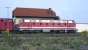 Dumped in the shed yard at Halberstadt in the summer of 2002, was class 219 C-C diesel hydraulic no 219122, still in its old East German DR livery. This warranted a photograph of the locomotive on its own - not every other machine in the line of fifteen was so privileged! [See image 41347]<br><br>[Bill Jamieson 24/08/2002]