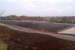 <I>Come on out, we know you're in there!</I> A Pendolino and a Colas Rail class 66 make half-hearted efforts to hide behind the North Chord embankment at Nuneaton on its opening day. [See image 41079]<br><br>[Ken Strachan 14/11/2012]