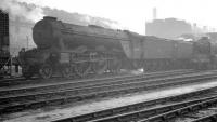 Gresley A3 no 60098 <I>Spion Kop</I> stands in the yard at a hazy Heaton shed. The date of the photograph is not recorded, but the Pacific was withdrawn from St Margarets in October 1963. <br><br>[K A Gray //]