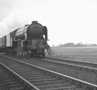 Tweedmouth shed's A1 Pacific no 60116 <I>Hal O' The Wynd</I> approaching Cramlington, Northumberland, in October 1962 with the 7.28am Berwick - Newcastle Central stopping train. <br><br>[K A Gray 20/10/1962]