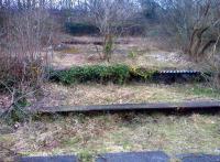 There can't be many places in the UK where four platforms have survived closure by nearly 50 years, in a location a mere hundred yards from a busy commercial street. View looks North towards Ashbourne in February 2013.<br><br>[Ken Strachan 21/02/2013]