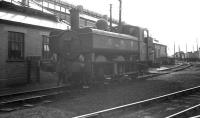 Ex-GWR 0-6-0 pannier tank no 7428 stands alongside the shed at Aberystwyth in August 1962. Attempts to obliterate the locomotive's pre-nationalisation markings appear to have been half-hearted.  <br><br>[K A Gray 14/08/1962]