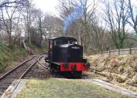 Armstrong Whitworth D2 of 1933 at Causey Arch on the Tanfield Railway  on 30 March 2013.<br><br>[Colin Alexander 30/03/2013]