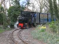 <I>Down among the daffodils</I>. WLLR 0-4-0T <I>Utrillas</I>, was built in Germany in 1913 and previously worked at a mine in Zaragosa, Spain. It is seen here on an springtime evening private charter on 17 April. Fireman John McIntyre ducks back into the cab just as the shutter is pressed.<br><br>[Mark Bartlett 17/04/2013]