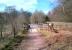 The Speech House (about a mile to the right of this picture) was a seat of local government, where Free Foresters made speeches to present their opinions to their administrators. You would struggle to get there by train after 1929, when all passenger services North of Lydney were withdrawn, although freight services survived here until 1963. View looks North on 31 March 2013, along what is now a very popular cycle trail.<br><br>[Ken Strachan 31/03/2013]