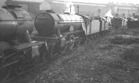 The sidings at Heaton shed in the 1960s. Locomotives include Gresley V2 no 60835, <I>The Green Howard</I>. The locomotive was withdrawn from St Margarets in October 1965 and cut up at Campbells of Airdrie two months later.<br><br>[K A Gray //]