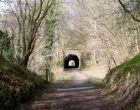 The eastern approach to Old Woodhouselee Tunnel, Auchendinny, on 20 April 2013, with Firth Viaduct behind the camera [see image 2659]. The site of Dalmore Mill is at the far end of the tunnel.<br><br>[John Furnevel 20/04/2013]