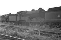 62693 <I>Roderick Dhu</I> 'stored' alongside Polmont shed in July 1959. The locomotive was later moved to the disposal sidings at Boness, wher e it was photographed in February 1962 [see image 37290]. 62693 was eventually cut up at Connels yard, Coatbridge, in March 1963.<br><br>[K A Gray 27/07/1959]