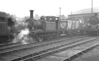 Busy scene in the shed yard at Brighton in the summer of 1961. Centre stage is departmental locomotive DS377 <I>'Brighton Works'</I>. The 0-6-0T <I>Terrier</I> (previously numbered 32635) was built at the nearby works in 1878. On the left is Billinton 0-6-2 Radial Tank 32580, another product of the same works in 1903. The relatively modern member of the trio, BR Standard class 4 2-6-4T 80068 was built here in 1953. <br><br>[K A Gray 14/08/1961]