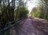 A nice bit of light and shade travelling downhill on the Sewell Greenway towards Stanbridgeford [see image 43001] and Leighton Buzzard. This line had a 'dinner plate profile' - steep at each end, level in the middle.<br><br>[Ken Strachan 03/05/2013]