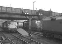 Diesel power dominates the north end of Carlisle station during the early afternoon of Saturday 7 December 1968. At platform 7 is BRCW Type 2 no D5312 on the 1.00pm Carlisle - Edinburgh Waverley via Hawick, a <I>Peak</I> is at 3 with the 1S49 10.25am Leeds - Glasgow Central via Dumfries, while Class 50 D409 is approaching platform 4 at the head of the 9.40am Perth - London Euston.<br><br>[K A Gray 07/12/1968]