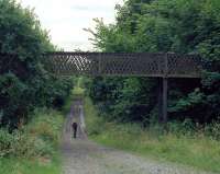 A surprising survivor over partially infilled cutting at Hassendeanburn Farm is this wrought iron lattice footbridge, although the deck is missing and it can't have been usable for many years. View towards the adjacent road overbridge and Hawick on 9 August 2013, with DS taking an arty silhouette shot from the opposite side.<br><br>[Bill Jamieson 09/08/2013]