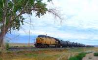 A Union Pacific freight passing Cisco, Utah, in the summer of 2013. [See image 44380]<br><br>[Colin Alexander 29/07/2013]