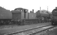 Locomotives in the shed yard at 40A Lincoln in 1959. Centre stage is J67 0-6-0T no 68501, face to face with visiting Doncaster B1 no 61250 <I>A Harold Bibby</I>. The locomotive on the right is one of the shed's large A5 Pacific tanks no 69808. <br><br>[K A Gray //1959]