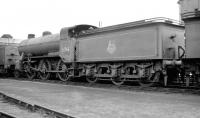 Gresley K2 2-6-0 no 61743 'stored' on Boston shed (40F), thought to have been photographed in early 1959. The locomotive was officially withdrawn from here in June of that year.<br><br>[K A Gray //1959]