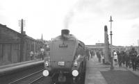 A4 Pacific 60019 <I>Bittern</I> at Stirling on 3 September 1966 with the last BR scheduled A4 hauled service between Aberdeen and Glasgow Buchanan Street. [See image 27894]<br><br>[K A Gray 03/09/1966]