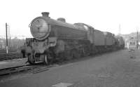 B1 4-6-0 no 61239 stands in the sidings alongside Gorton shed, Manchester, in March 1963.<br><br>[K A Gray 23/03/1963]