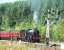 B1 61002 <I>Impala</I> approaching Levisham on 5 October with a train for Pickering during the NYMR's <I>LNER Gala</I>.<br><br>[Colin Alexander 05/10/2013]