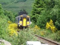 156457 leads unit 156474 round the final curve before entering Crianlarich Station on the 10.10 ex Mallaig to Glasgow Queen Street service on 26 June 2013. <br><br>[David Pesterfield 26/06/2013]