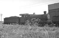 Collett 0-6-0 no 2239 stands alongside Aberystwyth shed on 13 August 1962. The locomotive had been withdrawn from Machynlleth some 3 months earlier.<br><br>[K A Gray 13/08/1962]