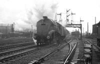A4 60010 <I>Dominion of Canada</I> is about to pass Stirling South shed on 23 November 1963 shortly after restarting the 7.10am Aberdeen - Glasgow Buchanan Street. Stirling Middle box can be seen through the signal gantry.<br><br>[K A Gray 23/11/1963]