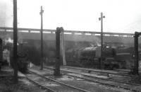 The busy shed yard at Polmadie in July 1964. Stanier Pacific 46244 <I>King George VI</I> has centre stage.<br><br>[John Robin 17/07/1964]