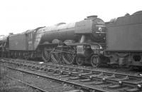 Gresley A3 Pacific no 60092 <I>Fairway</I> standing in the sidings alongside Gateshead shed on 17 October 1964, a week after its withdrawal by BR.<br><br>[K A Gray 17/10/1964]