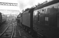 Standard class 5 4-6-0 no 73099 leaving Glasgow Central on 24 June 1962 with a party special bound for Blackpool.<br><br>[John Robin 24/06/1962]
