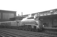 The RCTS <I>Border Limited</I> at Carlisle on 28 October 1967 behind 4498 <I>Sir Nigel Gresley</I>. The special had originated from Nottingham Midland and ran north as far as Longtown via the Carlisle goods lines and Canal Junction, before returning south via Mossband and Kingmoor shed. 4498 had taken over at Kingmoor for the leg south to Skipton. [See image 34628] <br><br>[K A Gray 28/10/1967]