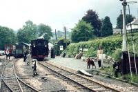 Platform scene at Llanfair Caereinion on the Welshpool and Llanfair Light Railway in the summer of 1974.<br><br>[John Thorn //1974]