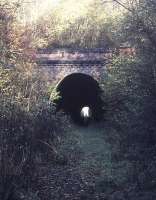 Midway between Ardingly and Horsted Keynes is Lywood Tunnel, seen here in 1977. Reopening of this stretch of the line features in the long term plans of the Bluebell Railway to extend the line back to Haywards Heath.<br><br>[Ian Dinmore //1977]