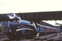 4498 <I>Sir Nigel Gresley</I> stands at Aberdeen on 20 May 1967, shortly after arrival with an A4 Locomotive Society railtour from Glasgow Central. <br><br>[G W Robin 20/05/1967]