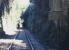 Looking along the rock cutting towards Luxulyan Tunnel on the Newquay line, photographed in August 1989 [with thanks to all who responded to this query].<br><br>[Ian Dinmore /08/1989]