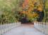 View across Tucking Mill Viaduct just north of Midford, looking south in November 2013. The viaduct was built for single track but later widened - although the second track was never laid. It's a pity about all the intrusive fencing.....<br><br>[John Thorn 11/11/2013]